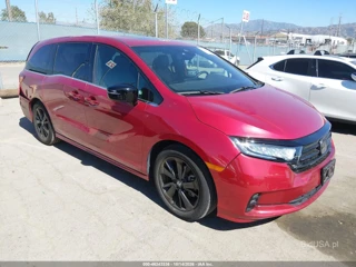 HONDA HONDA ODYSSEY SPORT