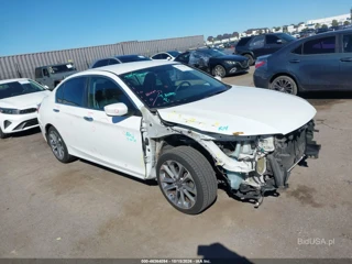 HONDA HONDA ACCORD SPORT