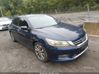 HONDA HONDA ACCORD SPORT