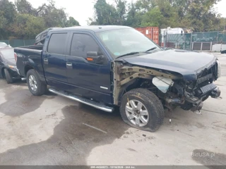 FORD FORD F-150 XLT