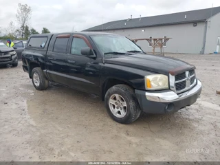 DODGE DODGE DAKOTA SLT