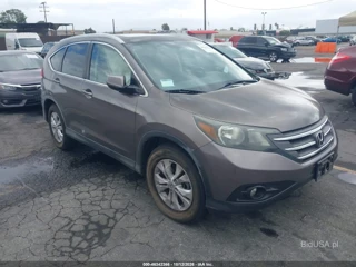 HONDA HONDA CR-V EX-L