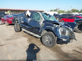 FORD FORD F-150 TREMOR