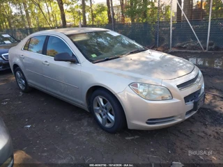 CHEVROLET CHEVROLET MALIBU LS