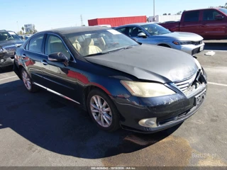 LEXUS LEXUS ES 350