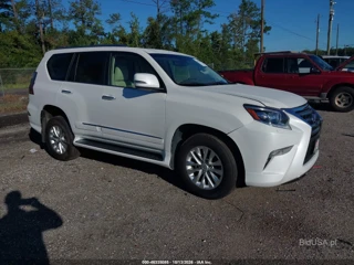 LEXUS LEXUS GX 460