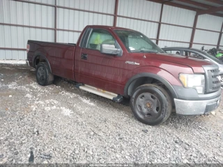 FORD FORD F-150 XL/XLT
