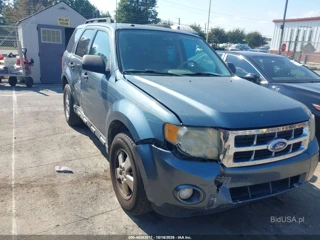 FORD FORD ESCAPE XLT