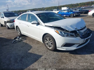HYUNDAI HYUNDAI SONATA SE