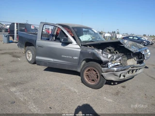DODGE DODGE DAKOTA