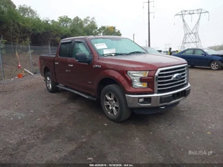 FORD FORD F-150 XLT