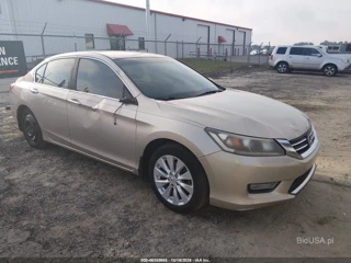 HONDA HONDA ACCORD EX