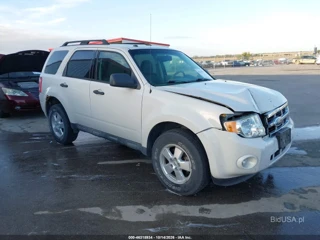 FORD FORD ESCAPE XLT
