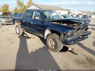 DODGE DODGE DAKOTA SPORT