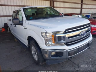 FORD FORD F-150 XLT