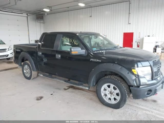 FORD FORD F-150 FX4/HARLEY-DAVIDSON/KING RANCH/LARIAT/PLATINUM/XL/XLT