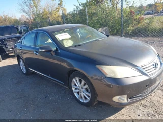 LEXUS LEXUS ES 350