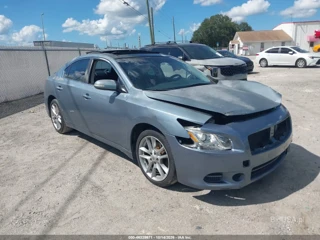 NISSAN NISSAN MAXIMA 3.5 SV