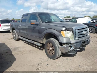 FORD FORD F-150 XL/XLT
