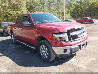 FORD FORD F-150 XLT