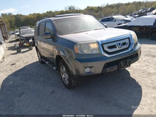 HONDA HONDA PILOT EX-L