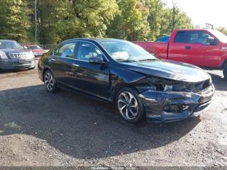 HONDA HONDA ACCORD EX