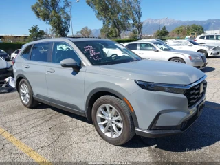 HONDA HONDA CR-V EX-L 2WD