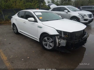 KIA KIA OPTIMA HYBRID