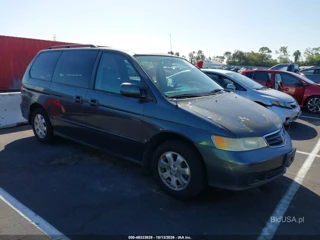 HONDA HONDA ODYSSEY EX