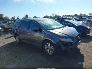 HONDA HONDA ODYSSEY SE