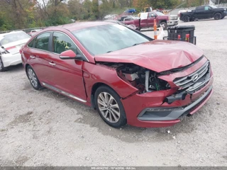 HYUNDAI HYUNDAI SONATA SPORT