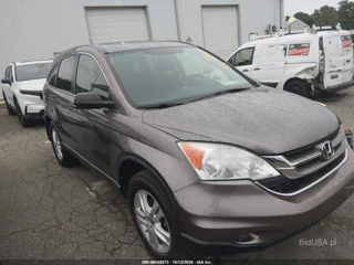 HONDA HONDA CR-V EX