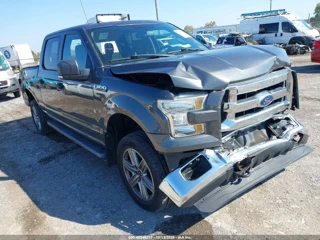 FORD FORD F-150 XLT