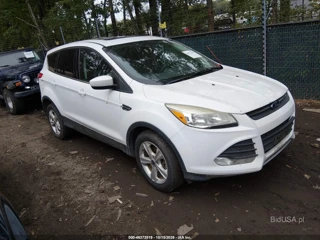 FORD FORD ESCAPE SE
