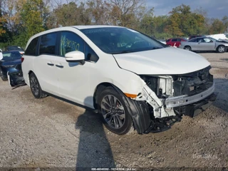 HONDA HONDA ODYSSEY EX-L