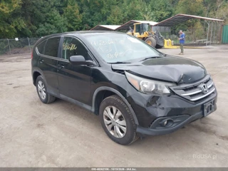 HONDA HONDA CR-V EX