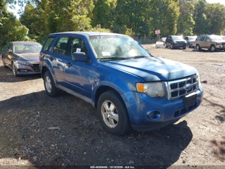FORD FORD ESCAPE XLS