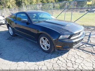 FORD FORD MUSTANG V6