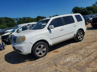 HONDA PILOT EXL