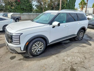 HYUNDAI PALISADE BLUE SEL PREMIUM