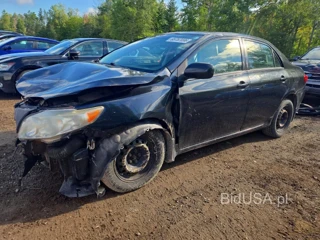 TOYOTA COROLLA BASE
