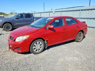 TOYOTA COROLLA CE
