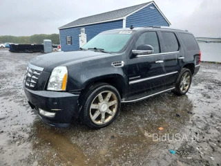CADILLAC ESCALADE LUXURY