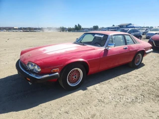 JAGUAR XJS ROUGE (SPECIAL EDITION)
