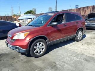 HONDA CR-V EX