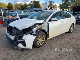 KIA FORTE FE