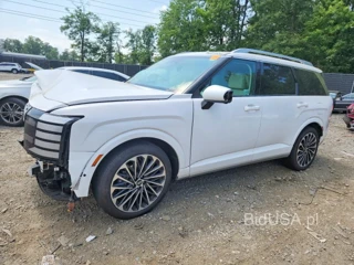 HYUNDAI PALISADE CALLIGRAPHY