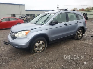 HONDA CR-V LX