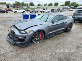 FORD MUSTANG SHELBY GT500