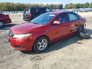 KIA FORTE EX